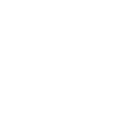 The Bridge facebook icon