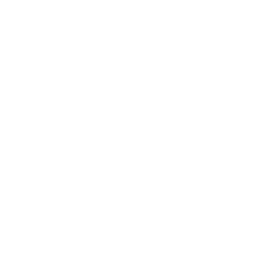 The Bridge youtube icon
